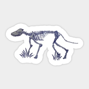 Mammalian skeleton Sticker